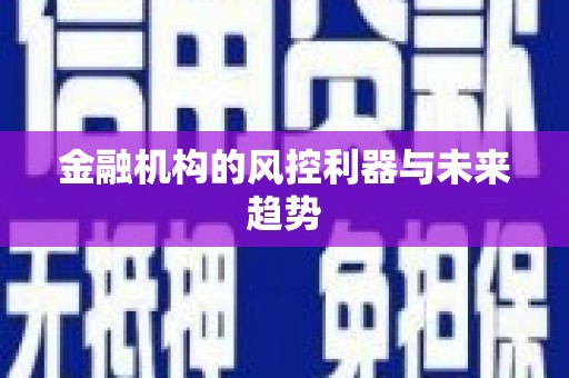 河池金融机构的风控利器与未来趋势