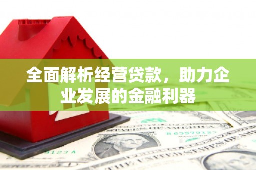 河池全面解析经营贷款，助力企业发展的金融利器
