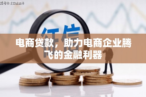 河池电商贷款，助力电商企业腾飞的金融利器