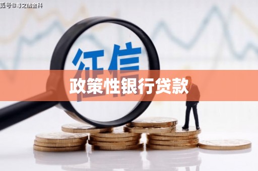 河池政策性银行贷款