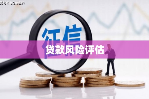 河池贷款风险评估
