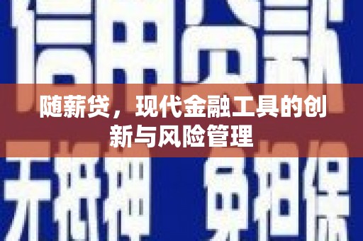 河池随薪贷，现代金融工具的创新与风险管理