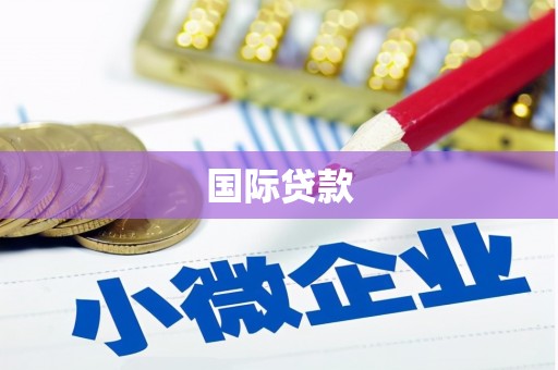 河池国际贷款