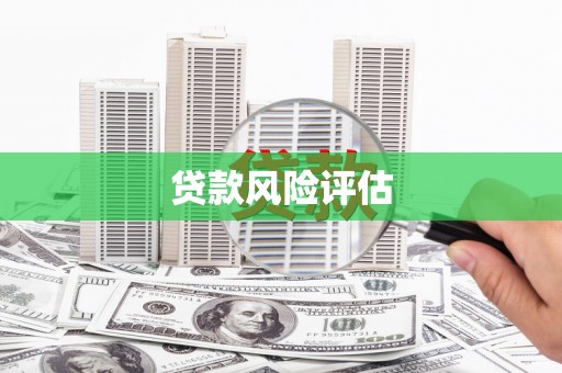 河池贷款风险评估