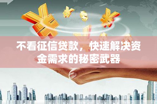 河池不看征信贷款，快速解决资金需求的秘密武器