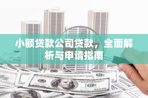 河池小额贷款公司贷款，全面解析与申请指南