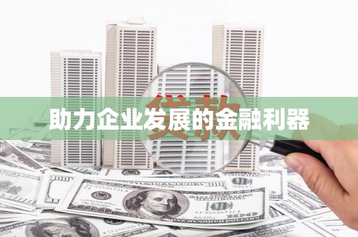 河池助力企业发展的金融利器