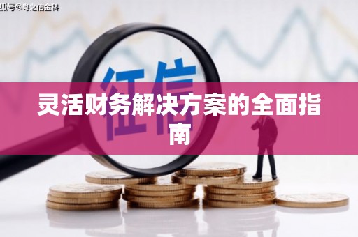 河池灵活财务解决方案的全面指南