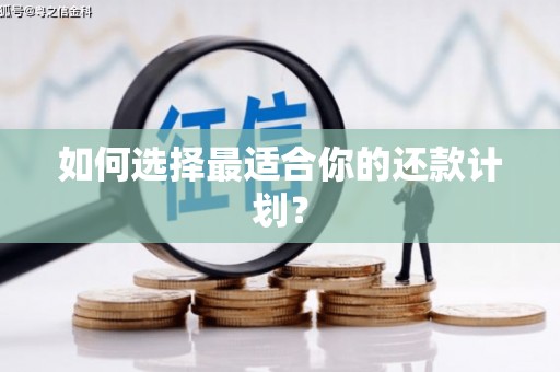 河池如何选择最适合你的还款计划？