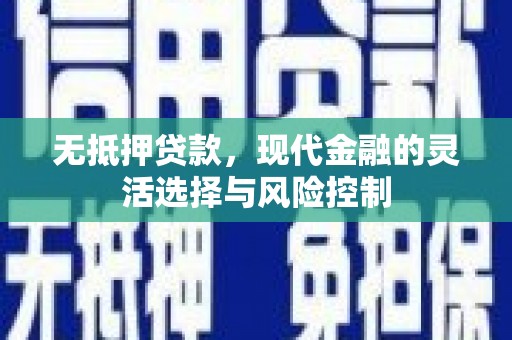 河池无抵押贷款，现代金融的灵活选择与风险控制