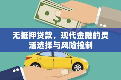 河池无抵押贷款，现代金融的灵活选择与风险控制