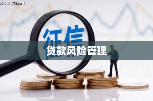 河池贷款风险管理