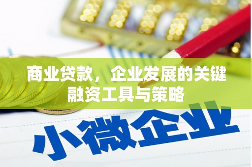 河池商业贷款，企业发展的关键融资工具与策略