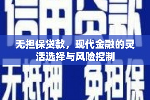 河池无担保贷款，现代金融的灵活选择与风险控制