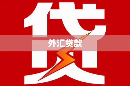 河池外汇贷款