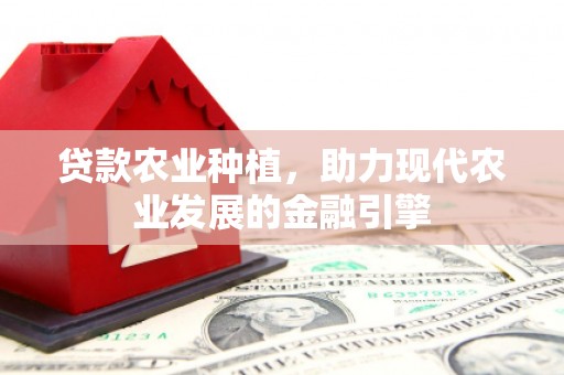 河池贷款农业种植，助力现代农业发展的金融引擎