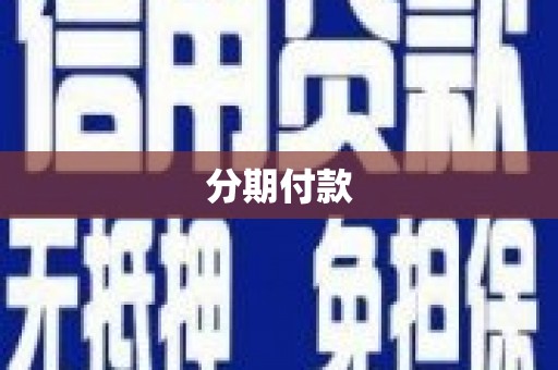 河池分期付款