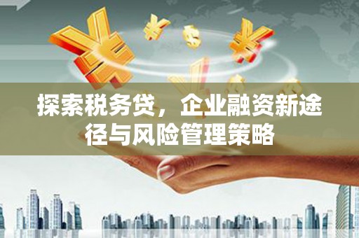 河池探索税务贷，企业融资新途径与风险管理策略