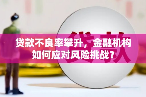 河池贷款不良率攀升，金融机构如何应对风险挑战？