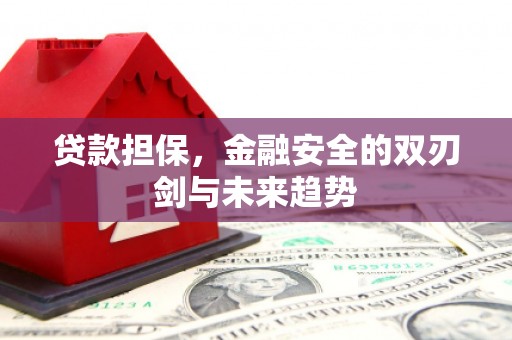 河池贷款担保，金融安全的双刃剑与未来趋势