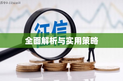 河池全面解析与实用策略