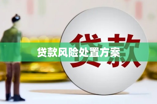 河池贷款风险处置方案