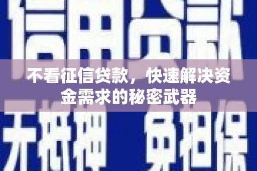河池不看征信贷款，快速解决资金需求的秘密武器