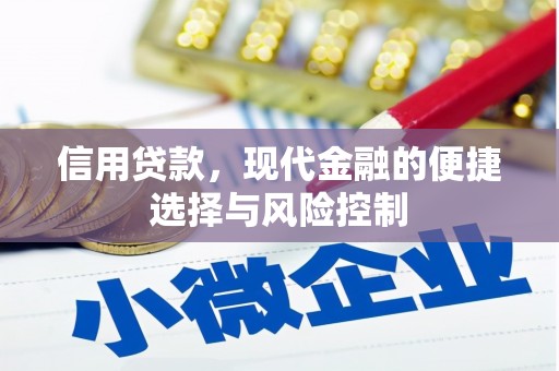 河池信用贷款，现代金融的便捷选择与风险控制