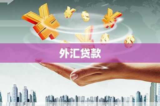 河池外汇贷款