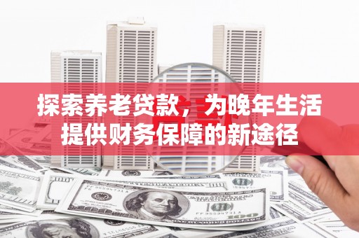 河池探索养老贷款，为晚年生活提供财务保障的新途径