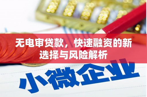 河池无电审贷款，快速融资的新选择与风险解析