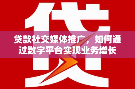 河池贷款社交媒体推广，如何通过数字平台实现业务增长