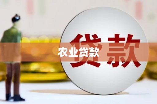河池农业贷款