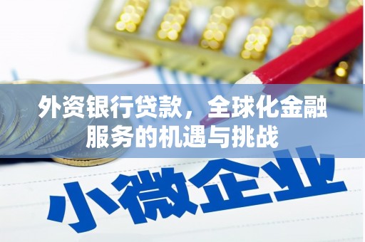 河池外资银行贷款，全球化金融服务的机遇与挑战