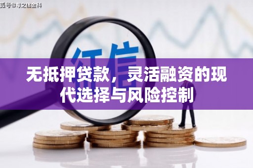 河池无抵押贷款，灵活融资的现代选择与风险控制