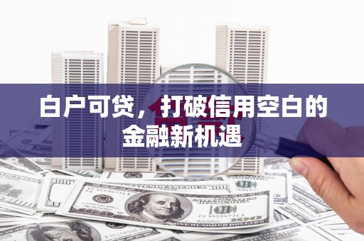 河池白户可贷，打破信用空白的金融新机遇