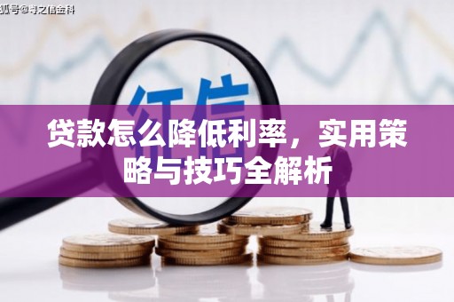 河池贷款怎么降低利率，实用策略与技巧全解析