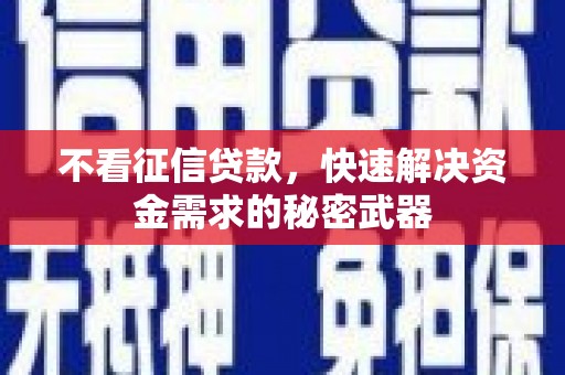 河池不看征信贷款，快速解决资金需求的秘密武器