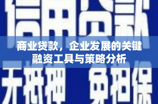 河池商业贷款，企业发展的关键融资工具与策略分析