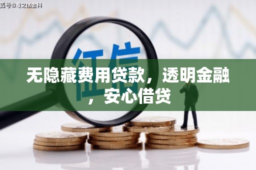 河池无隐藏费用贷款，透明金融，安心借贷