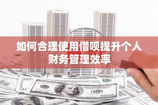 河池如何合理使用借呗提升个人财务管理效率