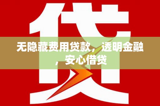 河池无隐藏费用贷款，透明金融，安心借贷