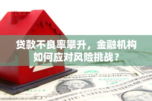 河池贷款不良率攀升，金融机构如何应对风险挑战？