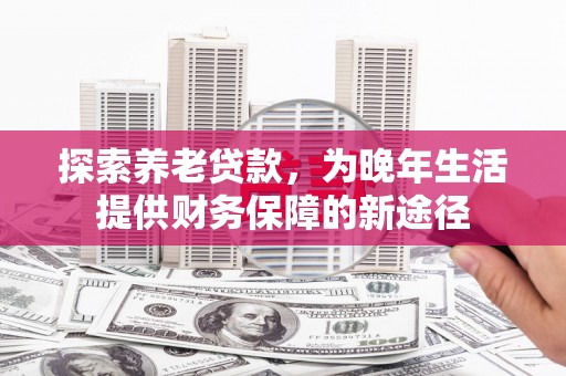 河池探索养老贷款，为晚年生活提供财务保障的新途径