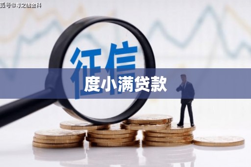 河池度小满贷款