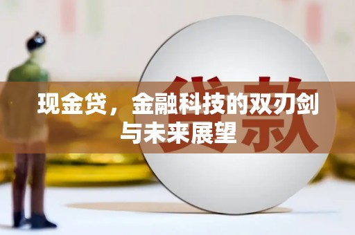 河池现金贷，金融科技的双刃剑与未来展望