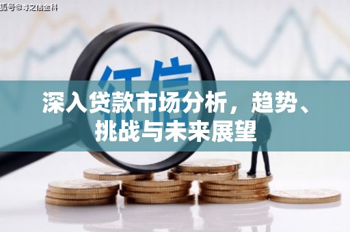 河池深入贷款市场分析，趋势、挑战与未来展望