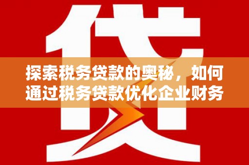 河池探索税务贷款的奥秘，如何通过税务贷款优化企业财务