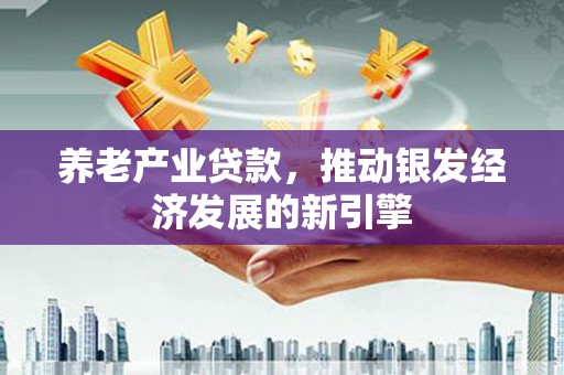 河池养老产业贷款，推动银发经济发展的新引擎