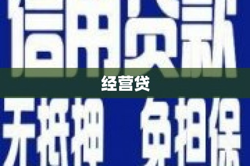 河池经营贷